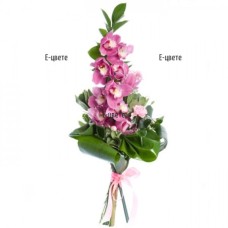 Bouquet Of Pink Orchid Cymbidium